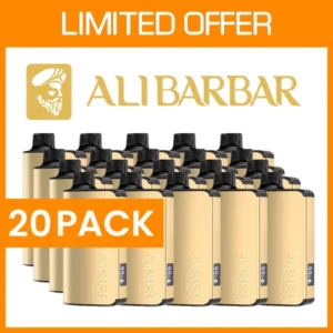 ALIBARBAR INGOT 9000 PUFF – 20 pack
